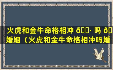 火虎和金牛命格相冲 🌷 吗 🌹 婚姻（火虎和金牛命格相冲吗婚姻怎么样）